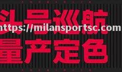米兰体育-纽卡斯尔大获胜利，百尺竿头更进一步